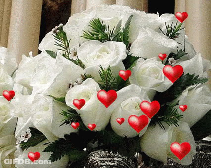 A Bouquet Of White Roses With Red Hearts Floating Around Them GIF