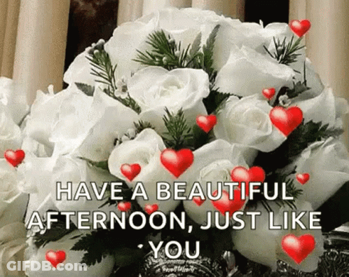 A Bouquet Of White Roses With Red Hearts On Them And The Words `` Have A Beautiful Afternoon , Just Like You '' . GIF