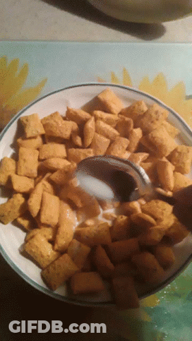 A Bowl Of Cheerios With Milk And A Spoon GIF