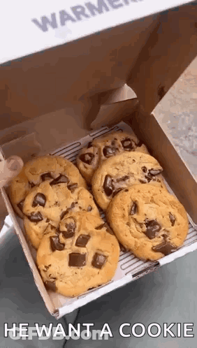 A Box Of Chocolate Chip Cookies With The Words `` He Want A Cookie '' On It . GIF