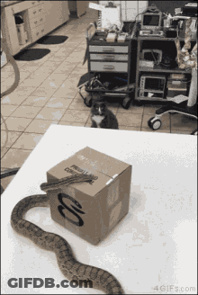A Box With The Letter O On It GIF