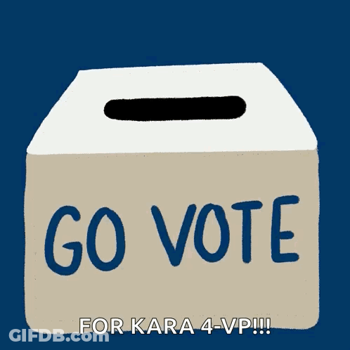 A Box With The Words Go Vote For Kara 4-Vp Written On It GIF
