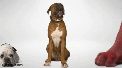 A Boxer Dog Sits Next To A Bulldog And A Large Red Paw GIF