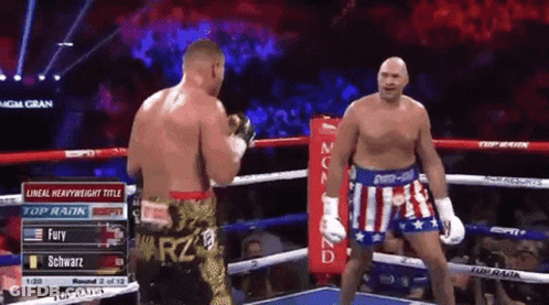 A Boxing Match Between Fury And Schwarz Is Going On GIF