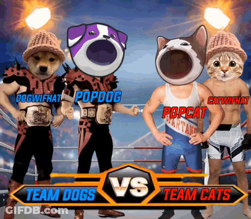 A Boxing Match Between Team Dogs And Team Cats Takes Place In A Ring GIF