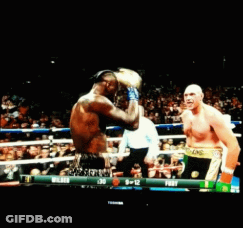 A Boxing Match Between Wilson And Fury Is On A Toshiba Television GIF
