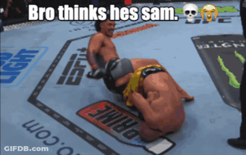 A Boxing Match With The Words Bro Thinks Hes Sam On The Bottom GIF