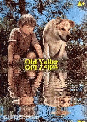 A Boy And A Dog Are Playing In The Water With The Words Old Yeller On The Bottom Right GIF
