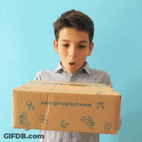 A Boy Holds A Cardboard Box That Says Www.playbrush.com GIF