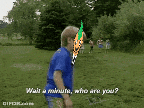 A Boy In A Blue Shirt Is Standing In A Grassy Field With The Words Wait A Minute Who Are You On The Bottom GIF