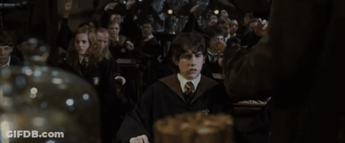 A Boy In A Harry Potter Costume Stands In Front Of A Crowd GIF