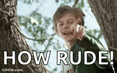 A Boy In A Tree Giving The Middle Finger With The Words How Rude Behind Him GIF