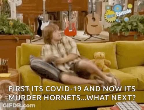A Boy Is Sitting On A Yellow Couch With A Guitar In The Background And Says First Its Covid-19 And Now Its Murder Hornet GIF