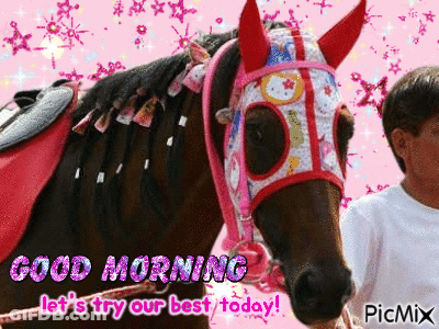 A Boy Is Standing Next To A Horse With A Pink Bridle On It . GIF