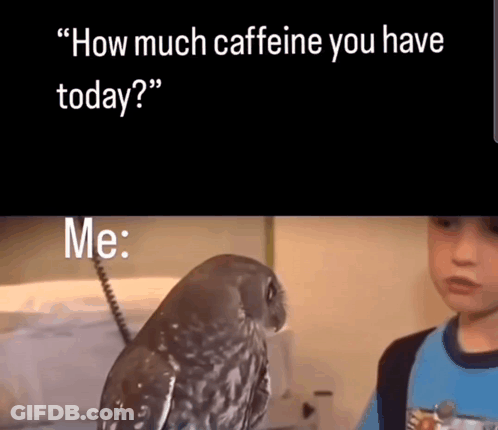 A Boy Talking To An Owl With The Words " How Much Caffeine You Have Today " Below It GIF
