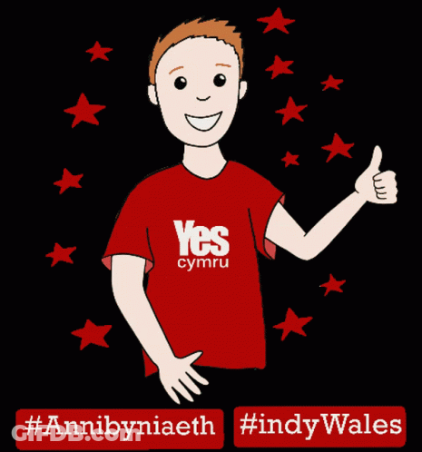 A Boy Wearing A Red Shirt That Says Yes Cymru Is Giving A Thumbs Up GIF