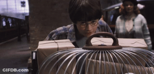 A Boy With Glasses Is Holding A Bird Cage GIF
