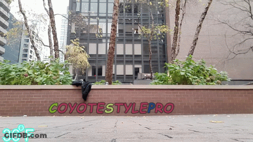 A Brick Wall Has Coyotestylepro Written On It GIF