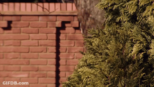 A Brick Wall With A Shadow Of A Person On It GIF