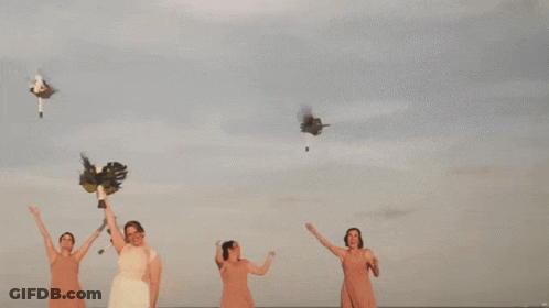A Bride And Her Bridesmaids On The Beach GIF
