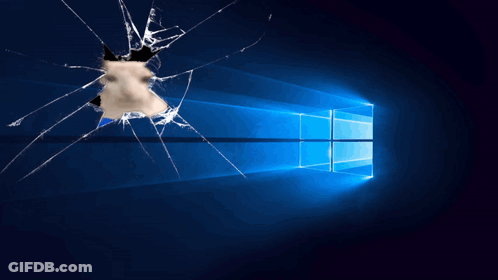A Broken Computer Screen With A Cat Looking Through It GIF