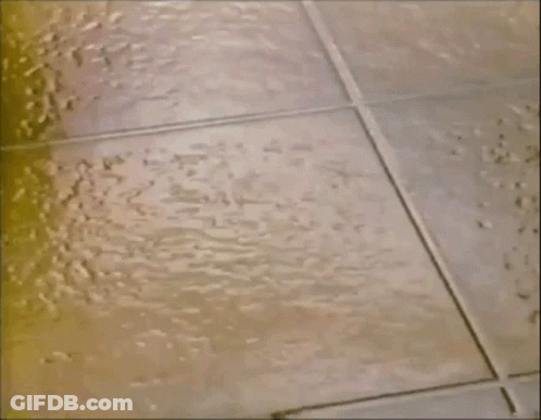 A Broken Egg Is Sitting On A Wet Tile Floor GIF