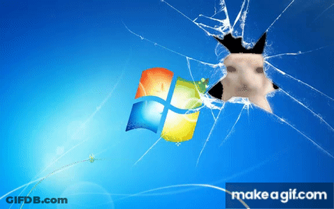 A Broken Screen With A Picture Of A Cat Sticking Its Head Through It GIF