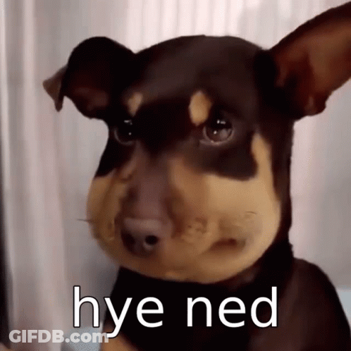 A Brown And Black Dog With The Words Hye Ned Written On It 'S Face GIF