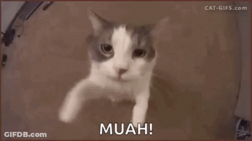 A Brown And White Cat Is Looking At The Camera With The Words Muah Written On The Bottom . GIF