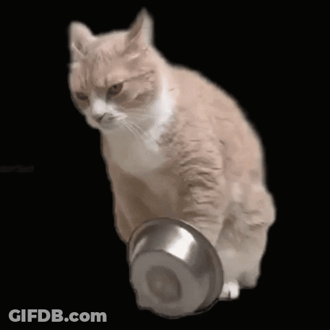 A Brown And White Cat Is Reaching Into A Metal Bowl On A Black Background GIF