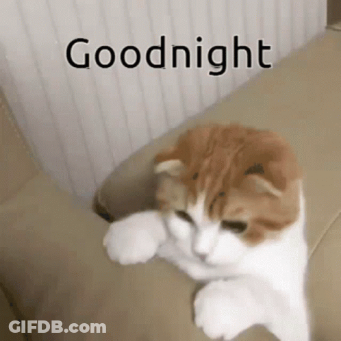 A Brown And White Cat Laying On A Couch With The Words Goodnight Above It GIF