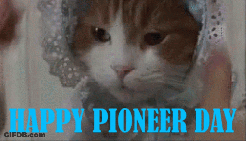 A Brown And White Cat Wearing A Lace Hat With The Words Happy Pioneer Day Written Below It GIF