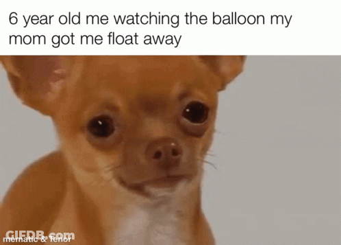 A Brown And White Chihuahua With A Caption That Says 6 Year Old Me Watching The Balloon My Mom Got Me Float Away GIF