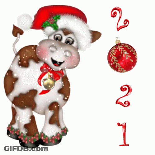 A Brown And White Cow Wearing A Santa Hat With A Bell Around Its Neck GIF