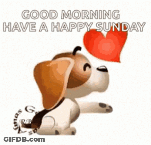 A Brown And White Dog Is Holding A Red Heart In Its Mouth . GIF