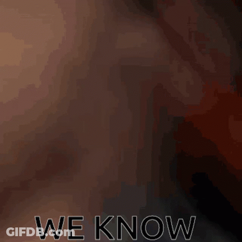A Brown And White Dog Is Sitting In Front Of A Window With The Words " We Know " Above It GIF