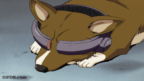 A Brown And White Dog Wearing Headphones On Its Head GIF