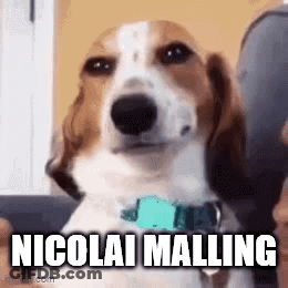 A Brown And White Dog With A Blue Collar Is Sitting Next To A Person And Says Nicolai Maling . GIF