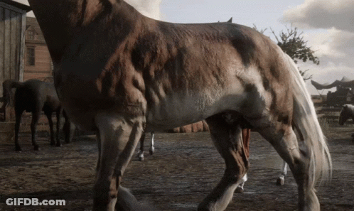 A Brown And White Horse Standing In A Field With Other Horses GIF