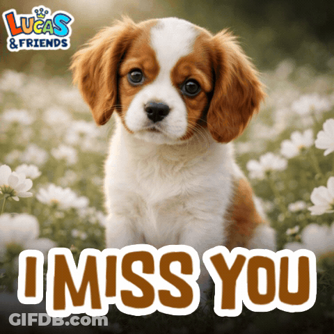 A Brown And White Puppy Is Sitting In A Field Of White Flowers With The Words " I Miss You " Below It GIF