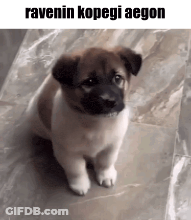 A Brown And White Puppy Is Sitting On A Tiled Floor With The Words Ravenin Kopegi Aegon Above It . GIF