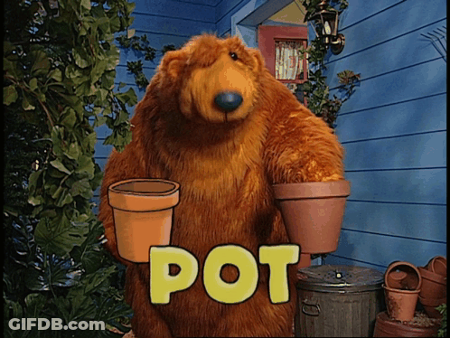 A Brown Bear Is Holding Two Pots In Front Of A House GIF