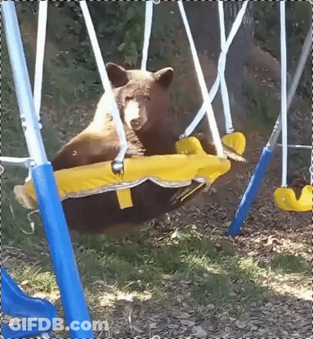 A Brown Bear Is Sitting On A Yellow And Blue Swing GIF