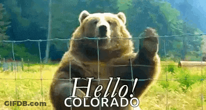 A Brown Bear Is Standing Behind A Fence Waving Its Paw And Says Hello Colorado GIF
