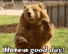 A Brown Bear Is Standing On Its Hind Legs And Says Have A Good Day ! GIF