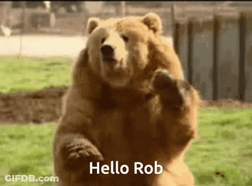 A Brown Bear Standing On Its Hind Legs With The Words Hello Rob Written Below It GIF