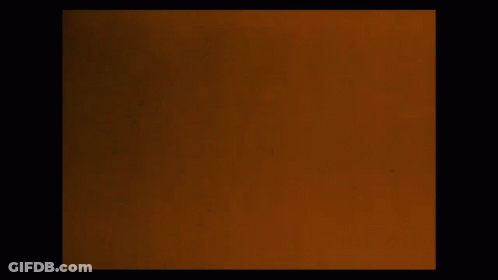 A Brown Circle With A Hole In The Middle GIF
