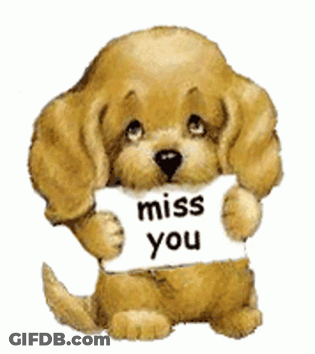 A Brown Dog Holding A Sign That Says Miss You GIF