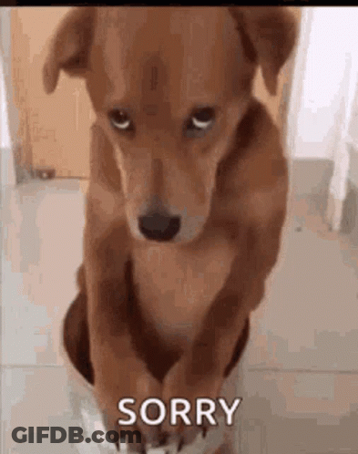 Dog Sitting With Paws On Paper GIF
