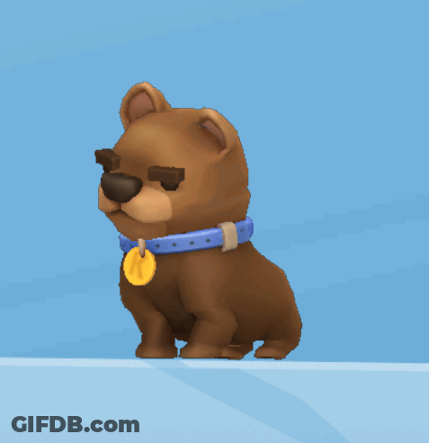 A Brown Dog Wearing A Blue Collar With A Gold Tag GIF